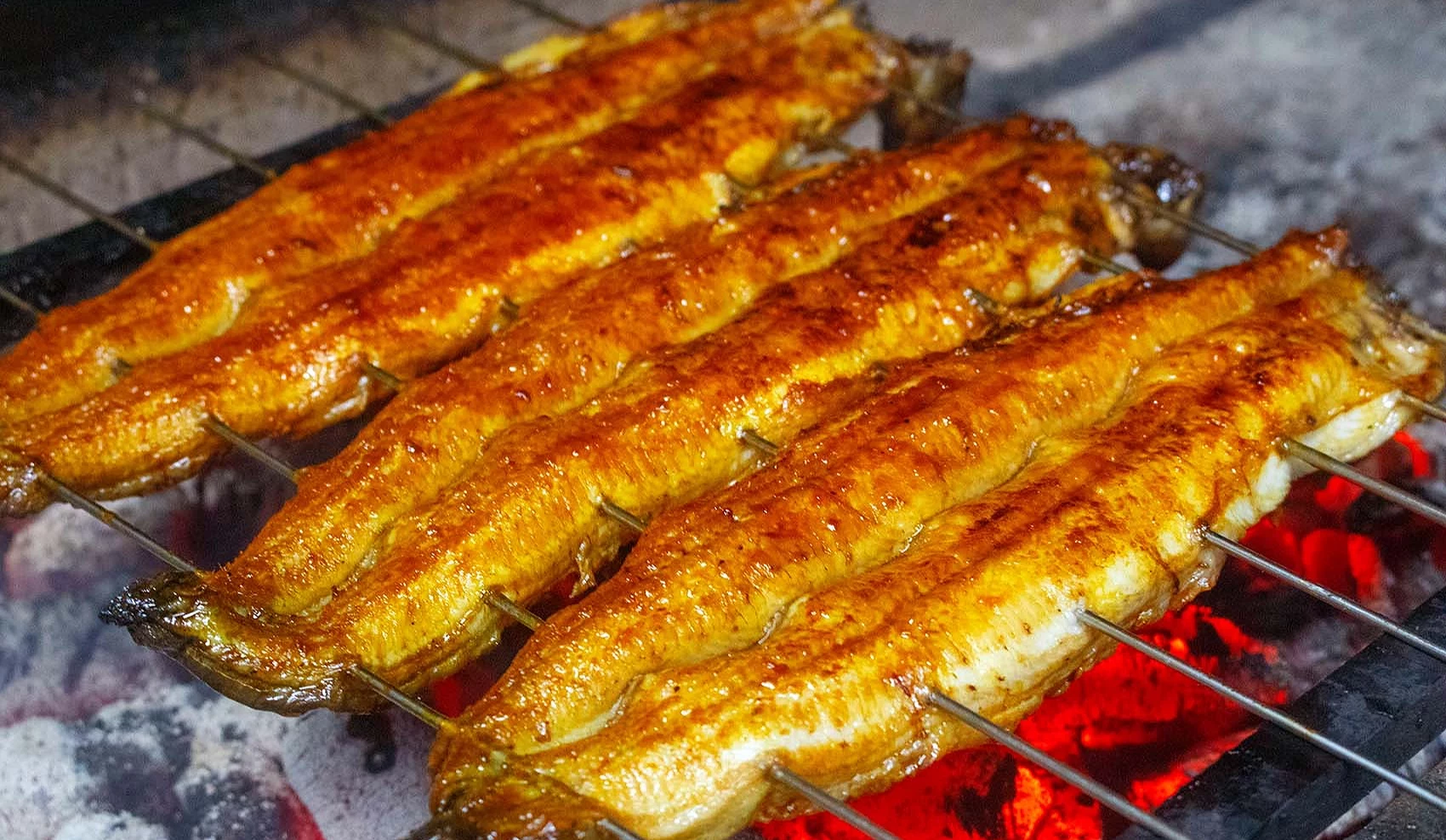 炭火鰻魚